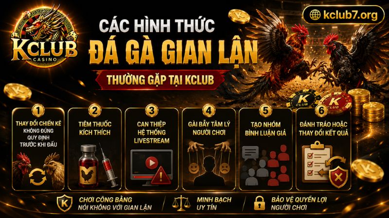 Các hình thức Đá gà bịp thường gặp tại KCLUB
