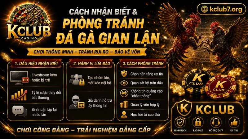 Cách nhận biết và phương pháp phòng tránh Đá gà bịp