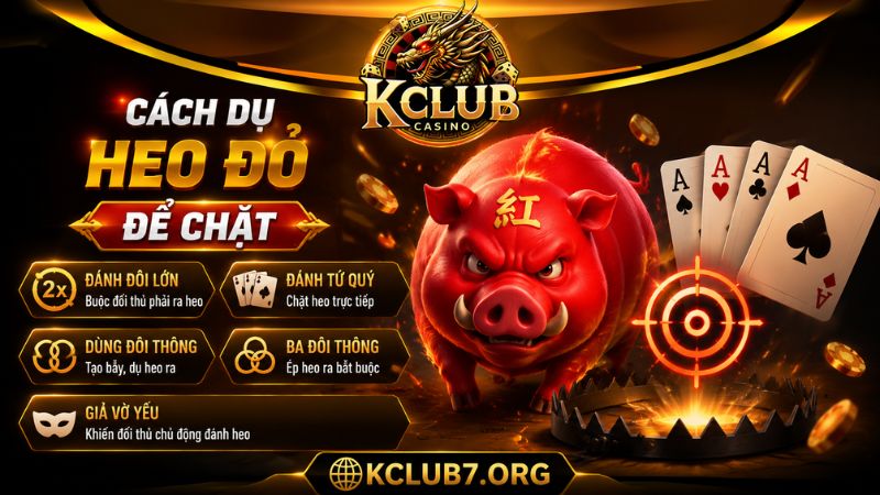 Hướng dẫn cách dụ heo đỏ để chặt hiệu quả