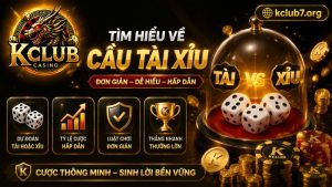 Tìm hiểu về cầu Tài xỉu
