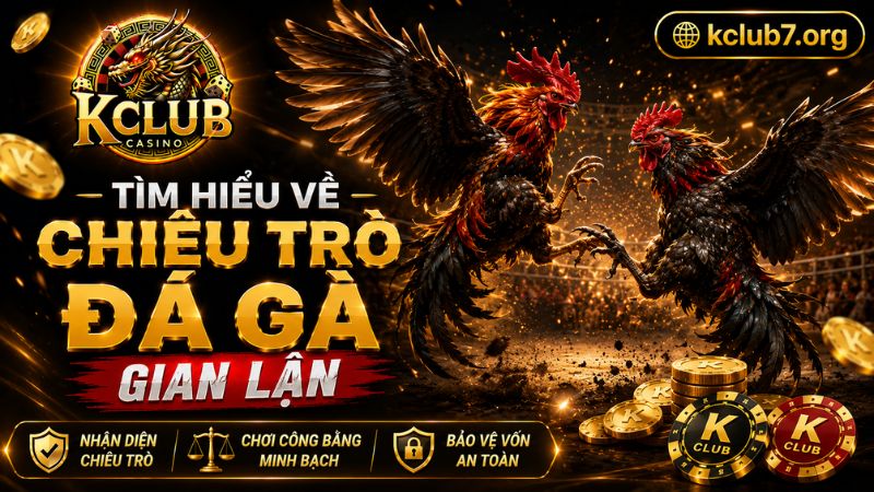 Tìm hiểu về hình thức Đá gà bịp